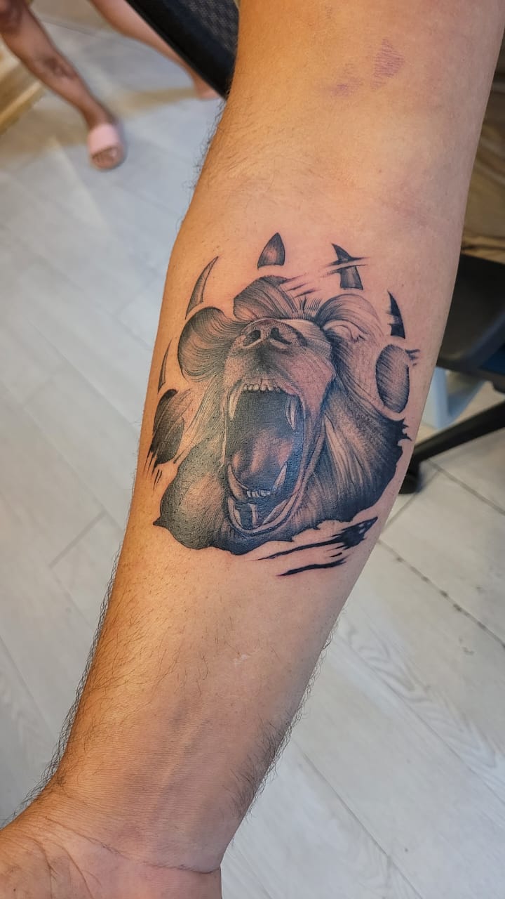 Bear Portrait